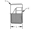 Hex Socket Plug