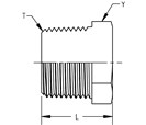 Hexagon Outside Head Pipe Plug