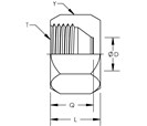 JIC Cap Nut Stainless Steel