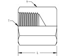 Pipe Cap