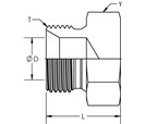 Male BSPP Hex Head Plug with 60 Degree Seat