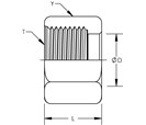 Standard Nut-Trivalent Plated