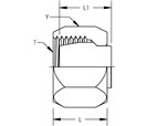 Cap Assembly