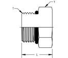 External Hex Port Plug