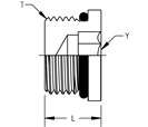 Internal Hex Port Plug